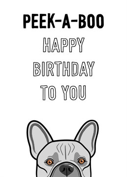 A cute peek-a-boo French Bulldog features on this birthday card for dog lovers.
