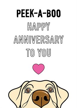 A cute peek-a-boo Golden Labrador features on this wedding anniversary card for dog lovers.