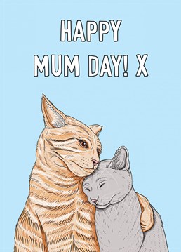 A cute cat and kitten illustration features on this adorable card for a cat loving Mum. Perfect for birthday's and Mother's Day!