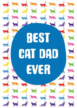 A colourful design featuring rainbow coloured cat silhouettes to celebrate the best cat dad ever! Perfect for Dad's birthday, Father's Day and thank you's.