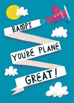 Send your Bampi flying high with wonderful wishes for Father's Day (or Birthday) with this illustrated sunny day sky and aeroplane card with pun-derful message. Design by Aimee Stevens Design.