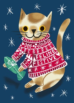 Send some sweet Christmas wishes this festive season with this cute pun-ny card featuring a cat in a Christmas jumper holding a fishy present. What's not to love?