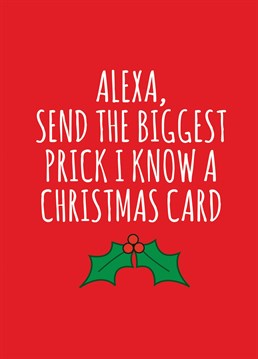 Send the biggest prick you know this cheeky Christmas card designed by Banterking.