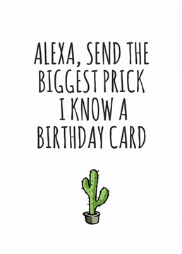 Send the biggest prick you know this cheeky birthday card designed by Banterking