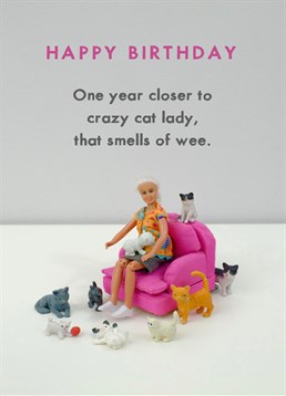 Crazy Cat Lady Jeffrey and Janice birthday card. Who's to say having hundreds of cat friends is such a crazy idea? It sounds like heaven to me. The perfect card for those future cat ladies!