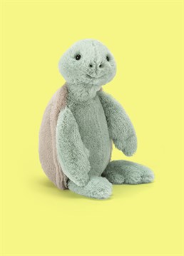 <ul>
    <li>Turtley adorable!&nbsp;</li>
    <li>The Bashful Turtle by Jellycat is a flippin&rsquo; gorgeous, seriously soft and cuddly companion for a sea life lover of any age.&nbsp;</li>
    <li>This sweet turtle has minty-green fur, matching beige shell and floppy flippers for giving out big hugs!&nbsp;</li>
    <li>Dimensions: 18cm high, 9cm wide (Small)&nbsp;</li>
</ul>