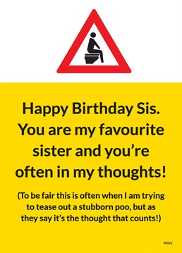 Favourite Sister Poo. Birthday Card For Sisters by Brainbox Candy. Share a bit too much information along with your birthday wishes by sending this card to your sister.