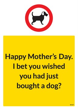 Dogs are much easier than children, remind your Mum of that with this silly Mother's Day card from Brainbox Candy.