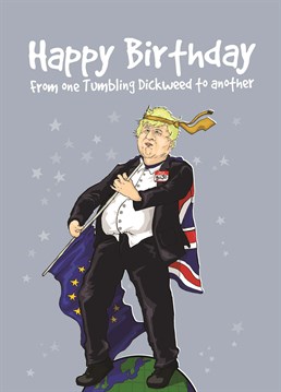 Takes one to know one! Gift this Birthday card to a fellow tumbling dickweed. Designed by Brainbox Candy.