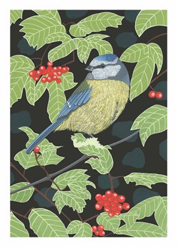 For all those people who love watching birds. This Birthday card by Bird is the ideal Birthday card for you.