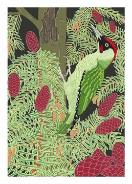 This is a beautiful picture of a large green woodpecker. This is a great multi-purpose Birthday card for friends or family by Bird.