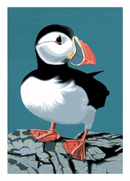 Apparently, Puffins taste absolutely amazing! A Birthday card designed by Bird.