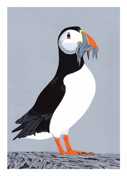 The sand eels sure do look tasty'. But the puffin looks tastier! A Birthday card designed by Bid.