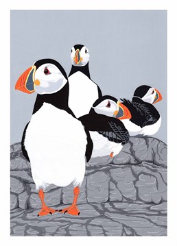 A circus of Puffins has such a cute ring to it! Get this Bird Birthday card for your Puffin crazy friend.