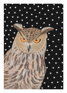 Make a statement and say happy birthday, with this eagle owl card by Bird.