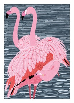 Flamingos are simply amazing! so you must remember to treat them well. Say Happy Birthday in style.