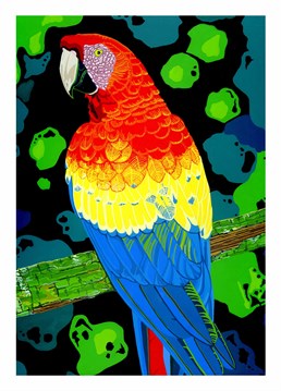 This flamboyant Macaw Birthday card by Bird is perfect for anyone as colourful as this!