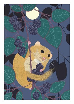 A nocturnal animal, dormice are particularly known for their long periods of hibernation. This Bird Birthday card is perfect for any occasion.