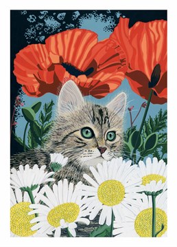We all love a cute kitten Birthday card by Bird. Here's one that will put a smile on that anyone's face.