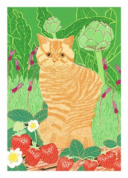 This wonderful Birthday card by Bird is perfect for any cat lover, for any occasion.