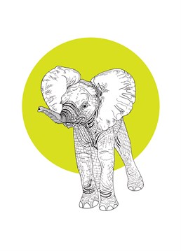 Dumbo is that you? Send this excited baby elephant by Bird to celebrate a little one!