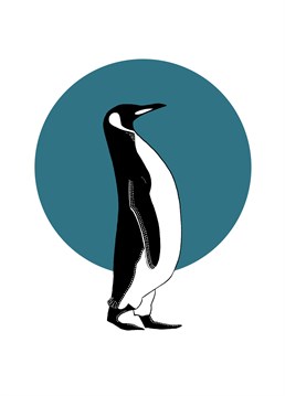 Send this proud-looking penguin designed by Bird to a nature lover whatever the occasion.