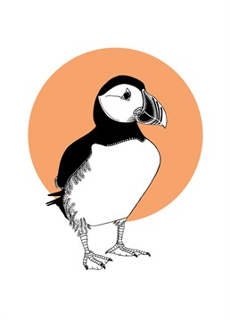 Send this perfect puffin design by Bird to a nature lover whatever the occasion.