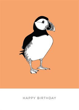 Send this perfect puffin design by Bird to a nature lover on their birthday.