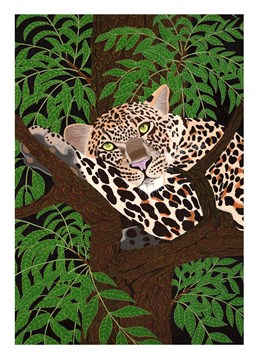 Send this lazy leopard by Bird to a cool cat who loves a good daydream.