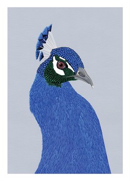 Send this Bird peacock design to a flamboyant friend and let them know you're their biggest fan.
