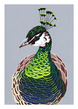 If you didn't know that a female peacock was called a peahen, then you do now! Isn't she pretty? Designed by Bird.