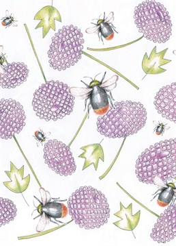 Beautiful hand drawn insects and flowers. The quintessential English scene, left blank for your special message.