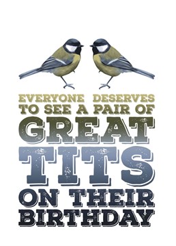 Send someone some birthday greetings with this card telling them that everyone deserves to see some great tits on their birthday. Design features two of the bird the Great Tit