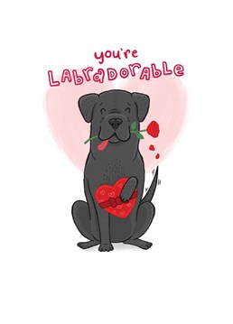Everyone who loves dogs will appreciate this cute Labrador Birthday card to show you love them.