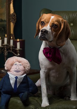 The former London Mayor is available in Dog Toy form!.  Complete with squeakers..  Both squeakers are found in Nylon pockets for extra protection from teeth..  Reinforced seams with cotton ribbon..  Dimensions: 36cm high, 28cm wide.. Give your dog a little taste of Bo Jo and watch them enjoy the squeaking Brexiteer. Fear not, there'll be no getting stuck on zip wires or injuring children during rugby games with this fella. With built in squeakers, Boris ready to chew. To be sure that your anti political pooch doesn't break poor Bo Jo, the toy has been reinforced with cotton ribbon in its seams. In addition to this, the squeakers are fond in nylon pockets for extra protection. Equipped with his trademark hair, all he's missing is the voice! Alas, like our own political leaders, the Boris Dog Toy isn't completely secure. Meaning this product won't be suited to really sharp teeth. Cards and gifts are sent separately. View our Delivery page for more details on Gift processing and delivery times.