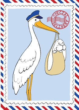 A new baby has been delivered by the stork to a brand new mummy and daddy. The perfect Cardinky card for new parents or grandparents. Traditional and inoffensive.