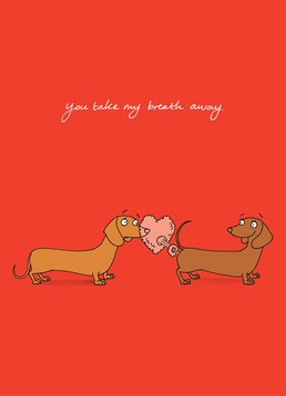 You take my breath away ... whenever I smell you, baby. Is this cute or a none-too-subtle hint? This Cardinky Valentine's card gives you the choice.