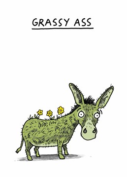 A Thank You card perfect for the donkey in your life's birthday designed by Thank You cardinky.