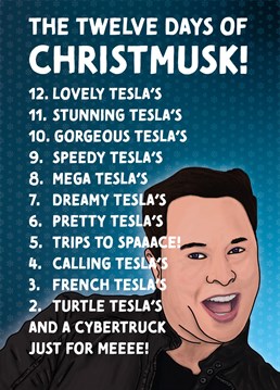 A funny card with a different take on the Twelve Days of Christmas, featuring Elon Musk.