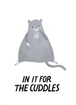 In It For The Cuddles. If you're a feely touchy kinda person, send this cute Anniversary card to your cuddle buddy in return for some affection. Designed by The Anniversary cardy Club. This white Anniversary card says In It For The Cuddles and has a drawing of a cat.