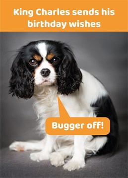 Not that King Charles! Funny birthday card from the Comedy Card Company