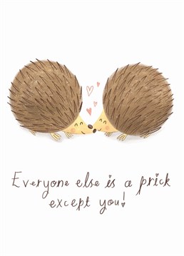 A cute (and slightly rude) hedgehog card to send to the one you love. A Chloe Fae Designs card, perfect to make your other half laugh on your anniversary!