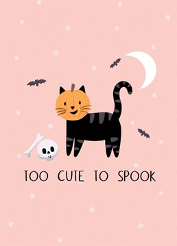 A cute illustration of a pumpkin cat. Perfect to send this Halloween! By Chloe Fae Designs.