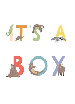 It's A Boy. A cute animal alphabet card. The perfect card for any baby shower or to welcome a special little one into the world! Illustrated by Chloe Fae Designs.