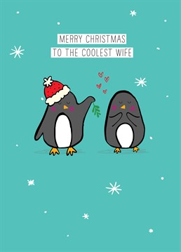 The Coolest Wife by Scribbler. Wish your wife a cool Christmas with this cute penguin couple & mistletoe, exclusive to Scribbler.