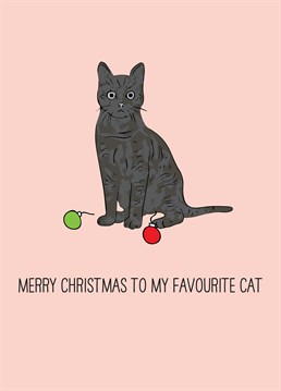 My Favourite Cat by Scribbler. Wish your favourite feline a Merry Christmas, regardless of how many Christmas decorations go missing.