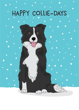 A no-brainer for anyone with a border collie this Christmas! Failing that, anyone who lives, breathes and walks the earth. Designed by Scribbler.