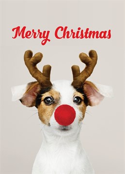Send an adorable rein-dog to a Jack Russell lover this festive season. Designed by Scribbler.