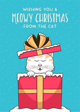 Help the cat send season's greetings to a loved one with this cute Scribbler card that's purr-fect for a cat lover at Christmas.