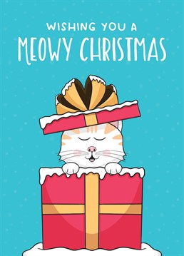 Perhaps the cat would like to send season's greetings? Either way, this Scribbler card is purr-fect for a cat lover at Christmas.